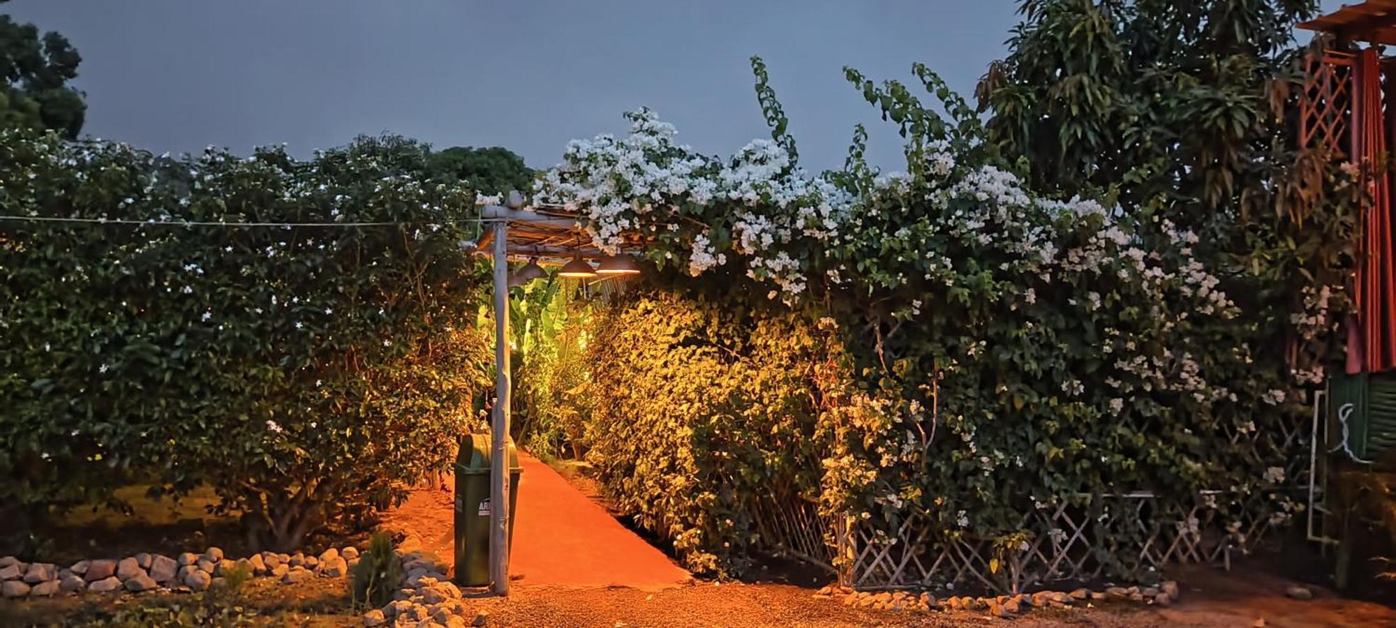 Namaste India Hostel Pushkar Buitenkant foto